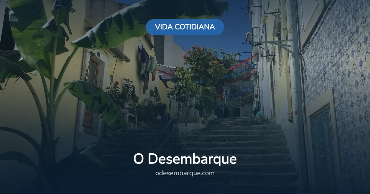 Saúde em Portugal para brasileiros: como ter número de utente e usar o SNS